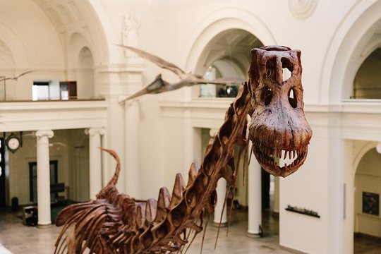Tour image 3