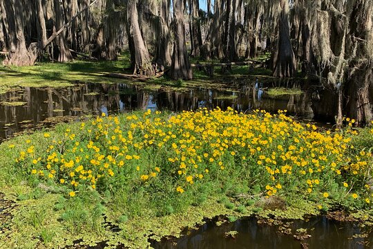 Tour image 7